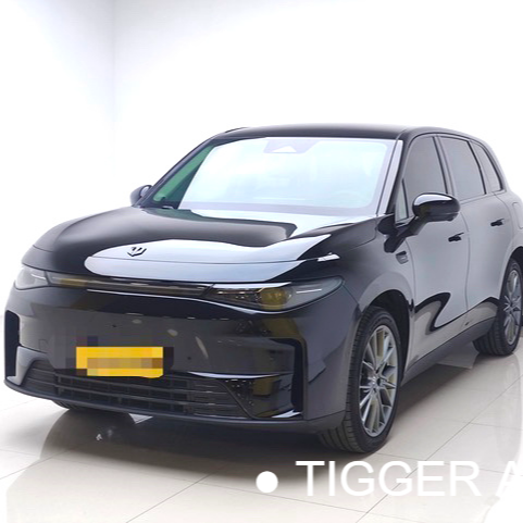 LEAP 2026 C10 605 Enjoyment Edition Used Car