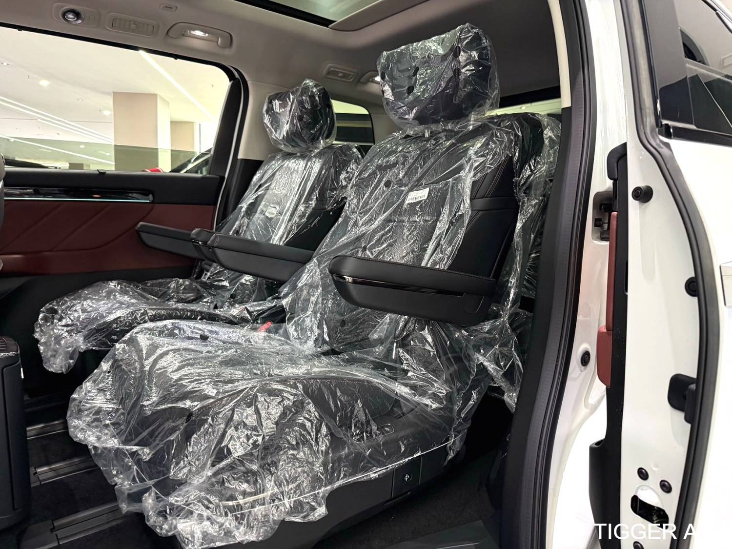 GAC 2024 E8 150km Longteng Radiance+