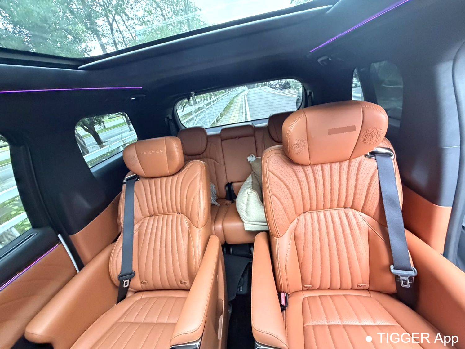 GAC 2025 E9 E9 Super Fast Charging Grandmaster