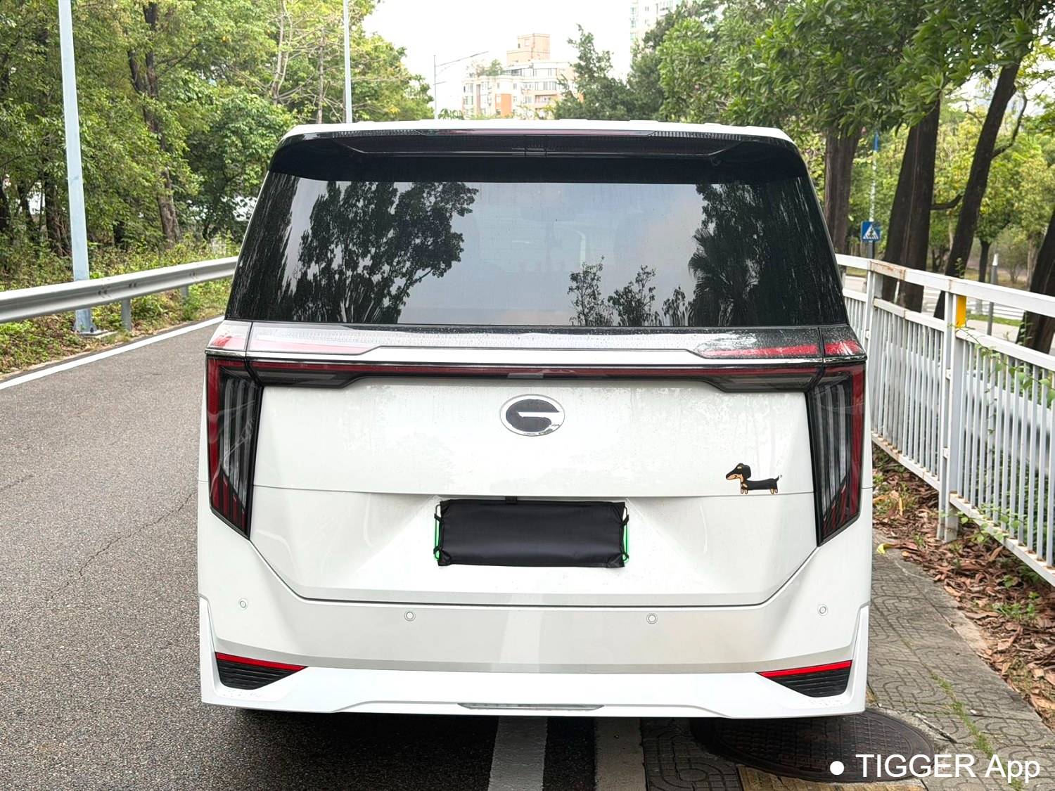 GAC 2025 E9 E9 Super Fast Charging Grandmaster