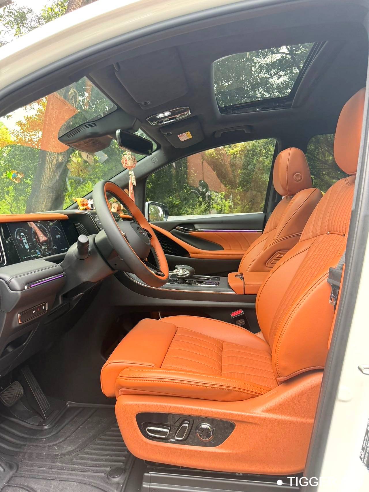 GAC 2025 E9 E9 Super Fast Charging Grandmaster