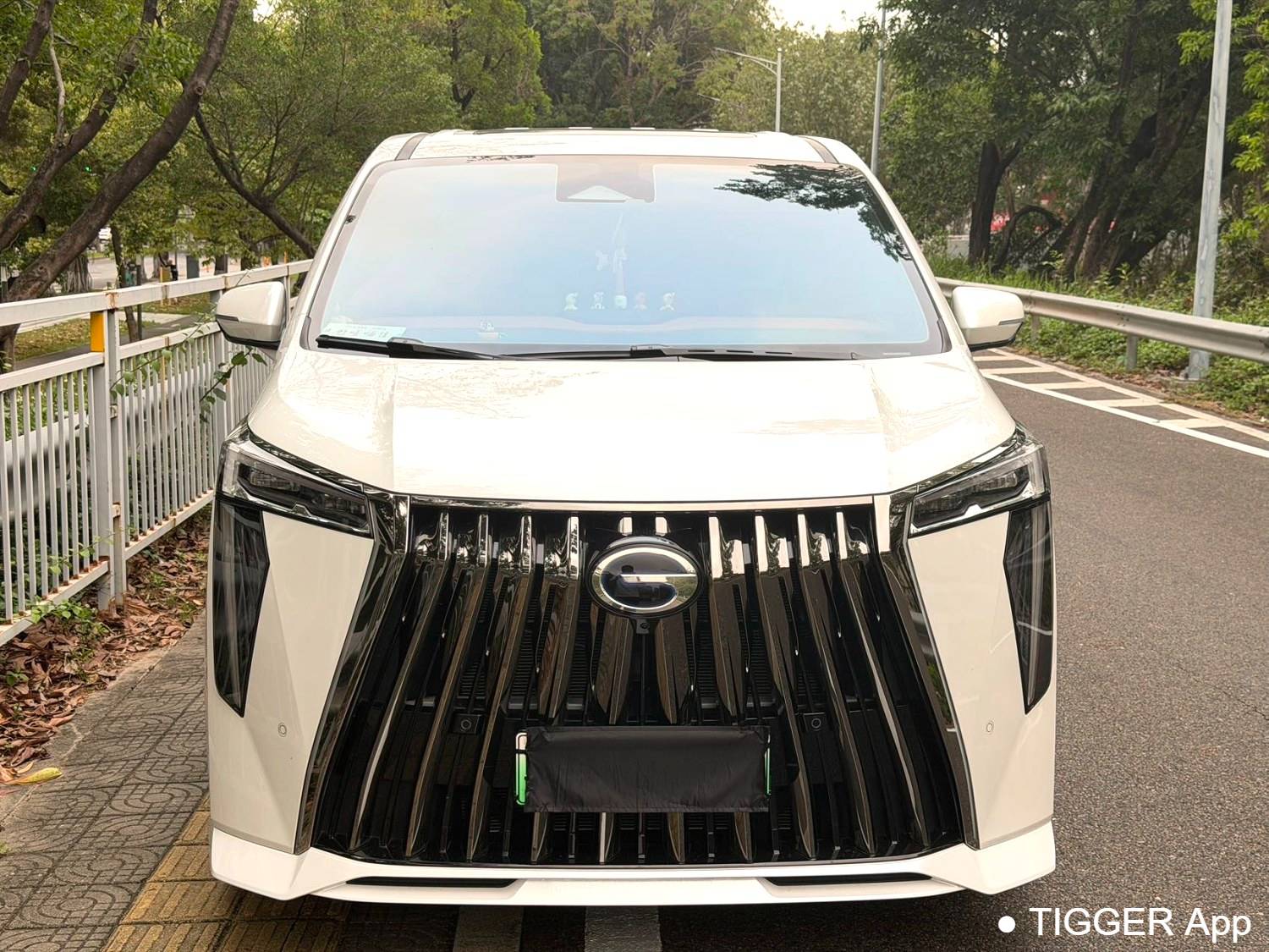 GAC 2025 E9 E9 Super Fast Charging Grandmaster