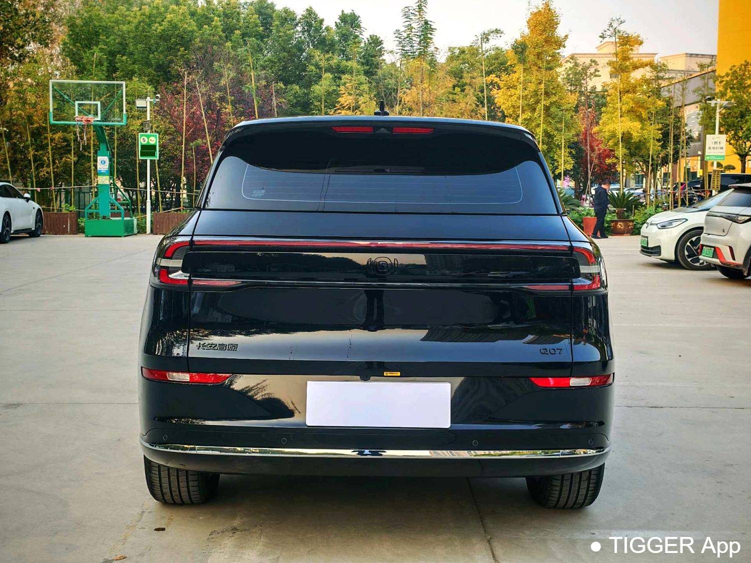 used Qiyuan 2025 Q07 215 Honor Type