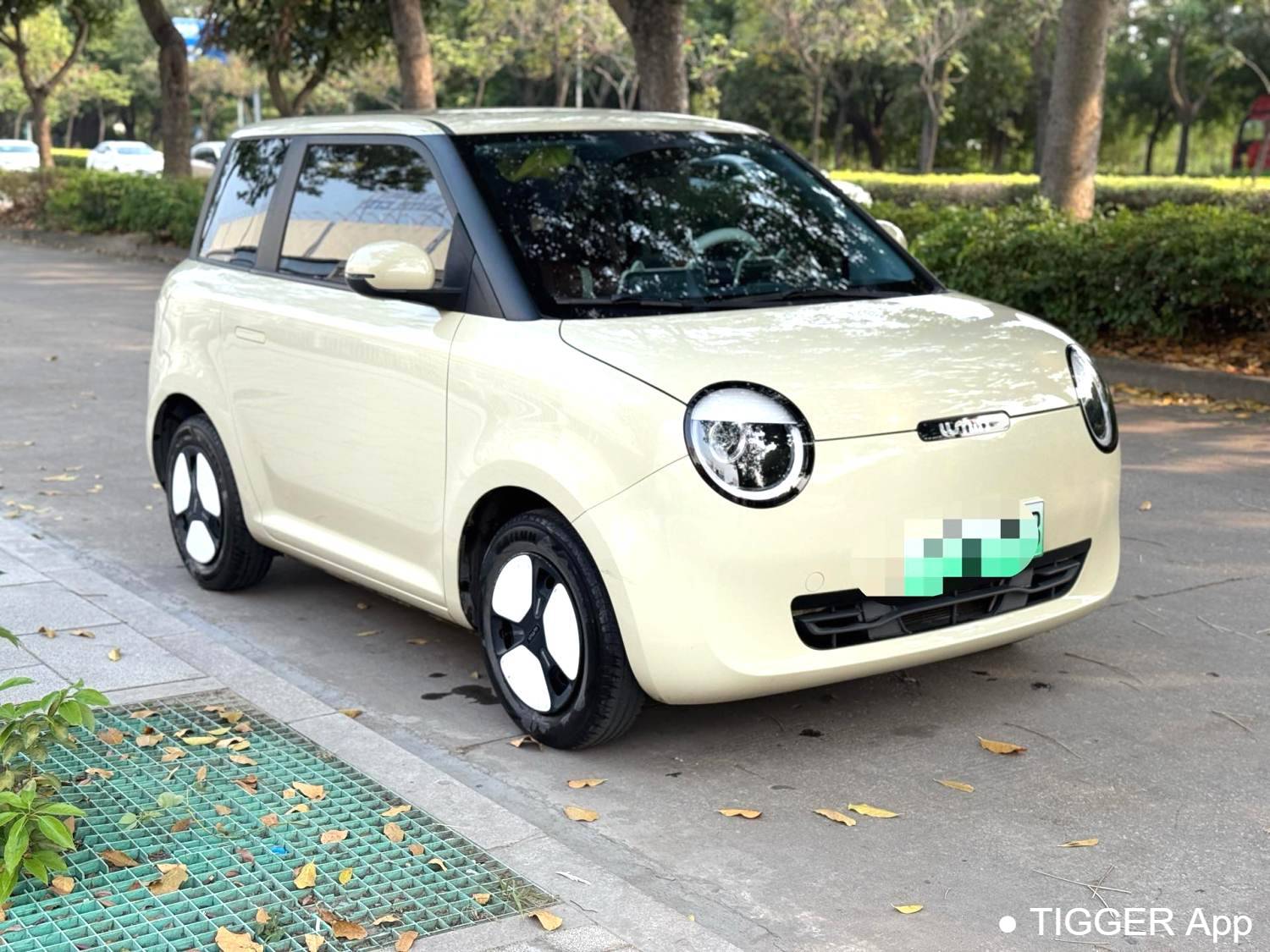 used Qiyuan 2022 Lumin 210km Sweet and Sweet Style