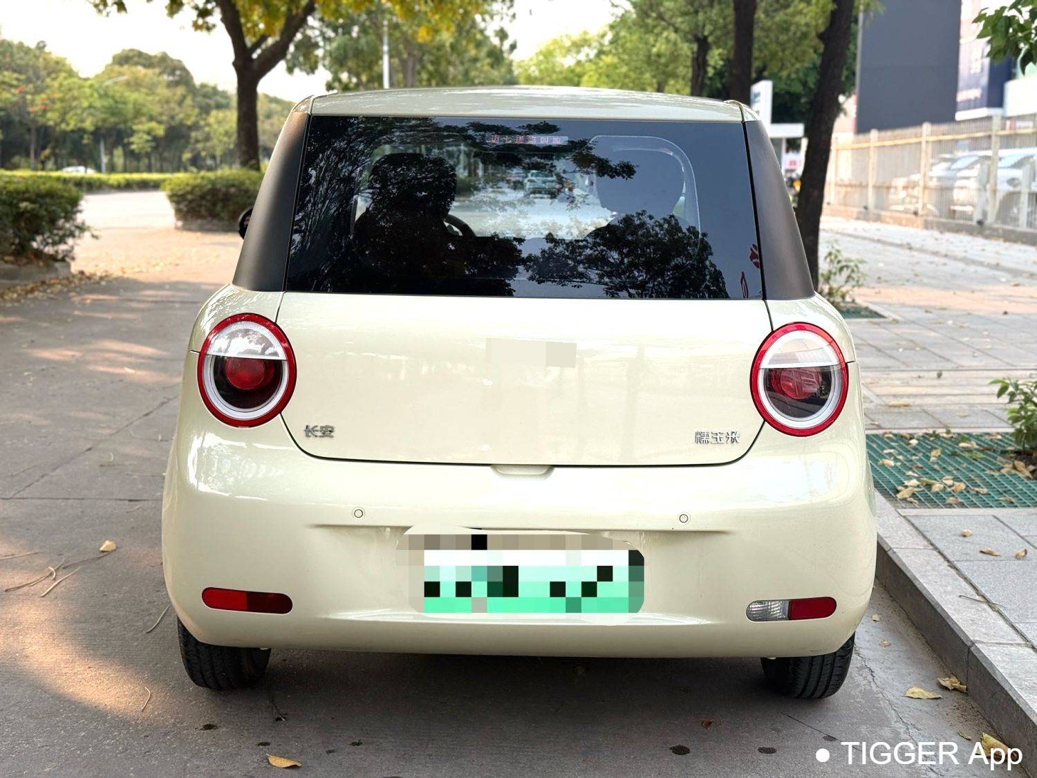 used Qiyuan 2022 Lumin 210km Sweet and Sweet Style