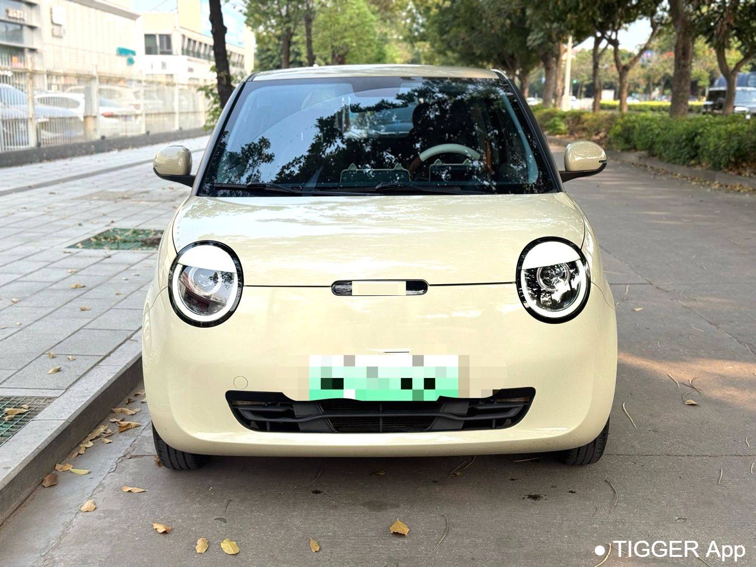 used Qiyuan 2022 Lumin 210km Sweet and Sweet Style