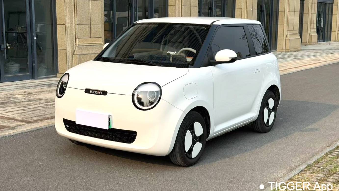 Qiyuan 2023 Lumin 301km Miqin model