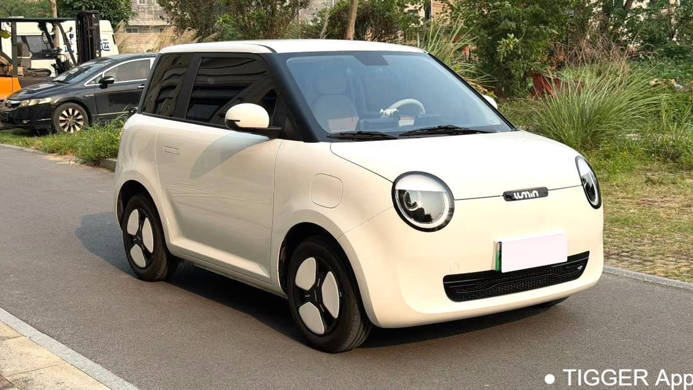 Qiyuan 2023 Lumin 301km Miqin model