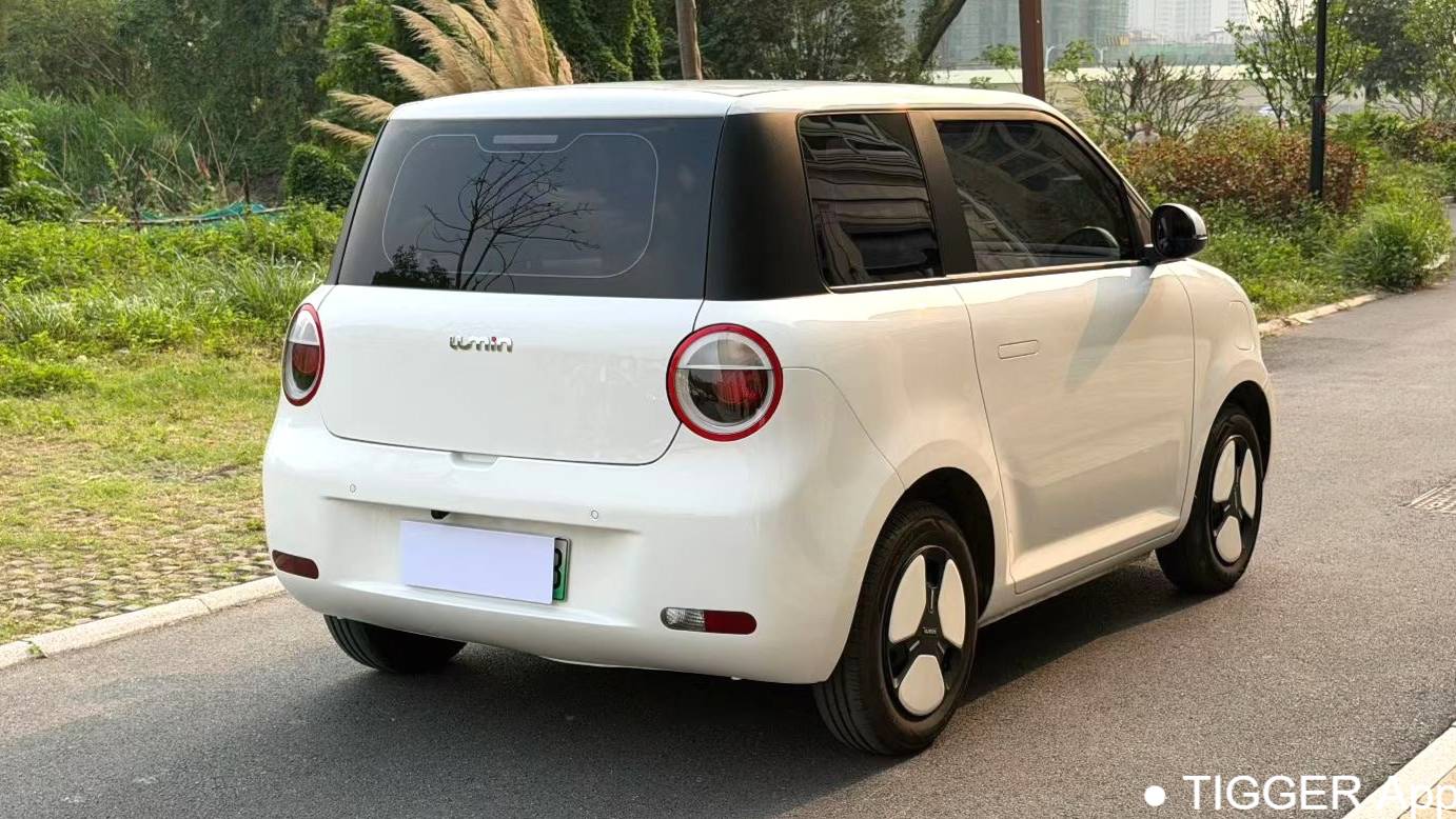 Qiyuan 2023 Lumin 301km Miqin model