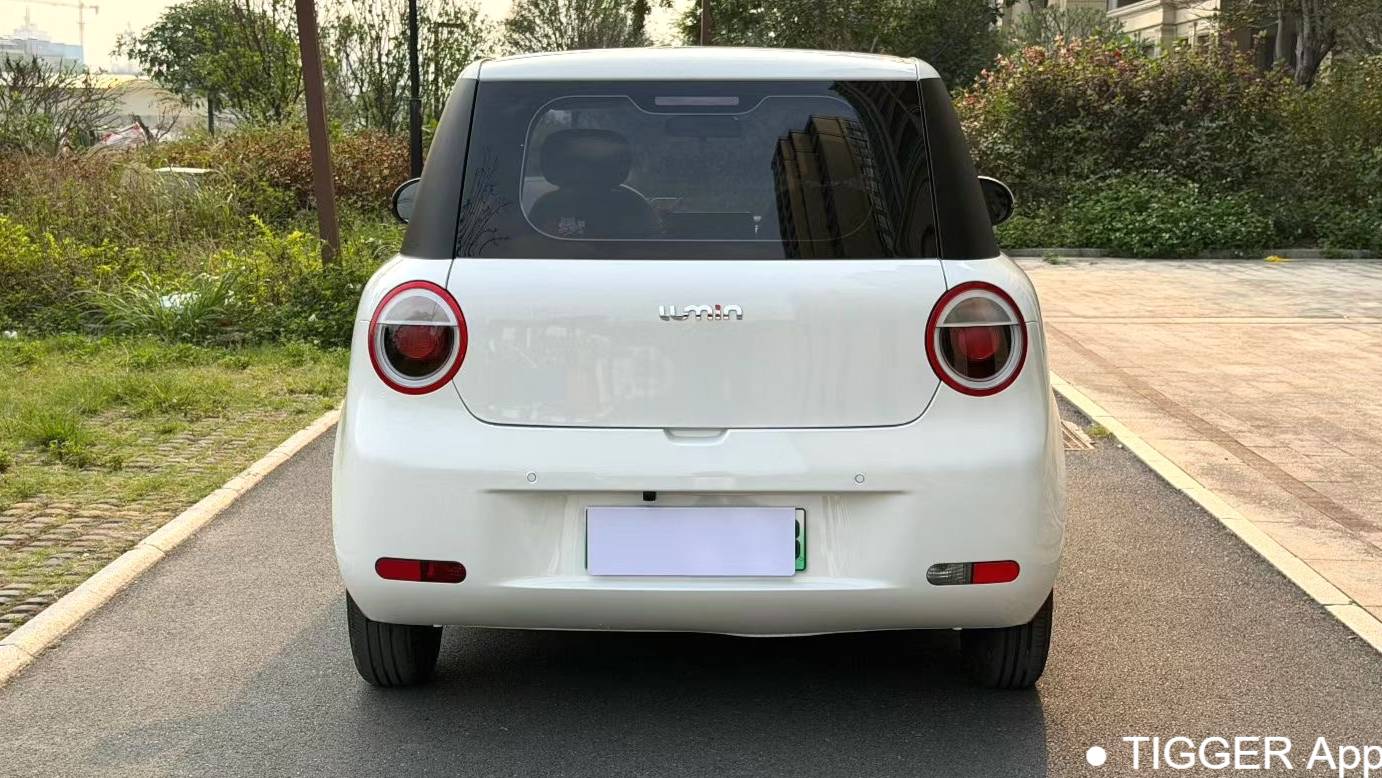 Qiyuan 2023 Lumin 301km Miqin model