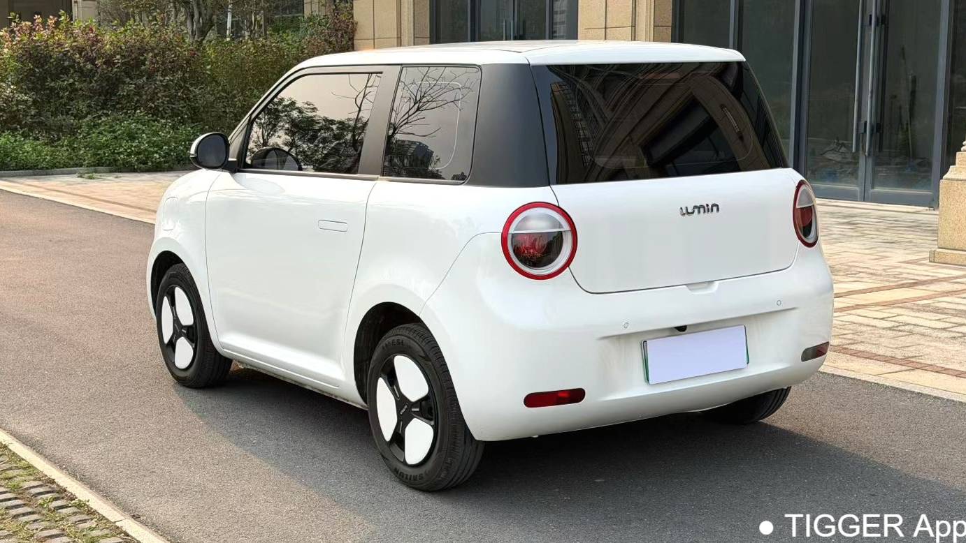 Qiyuan 2023 Lumin 301km Miqin model