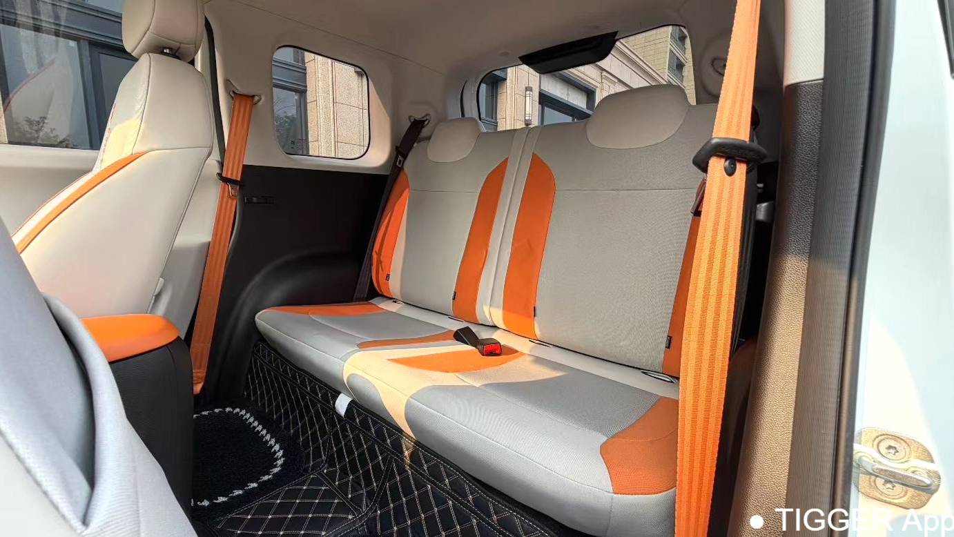 Qiyuan 2023 Lumin 301km Miqin model