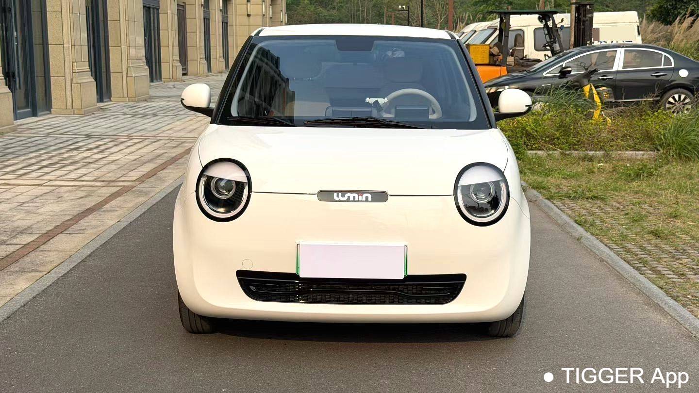 used Qiyuan 2023 Lumin 301km Miqin model