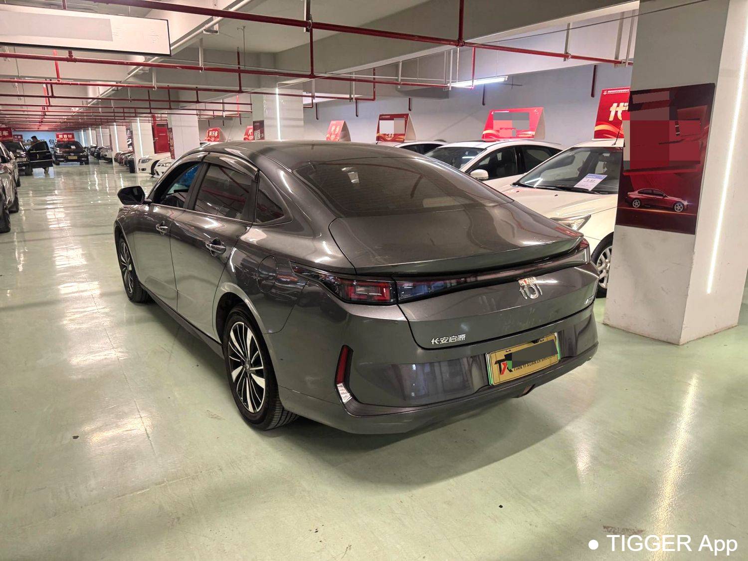 Qiyuan 2025 A05 True Fragrance Edition 70 Beyond