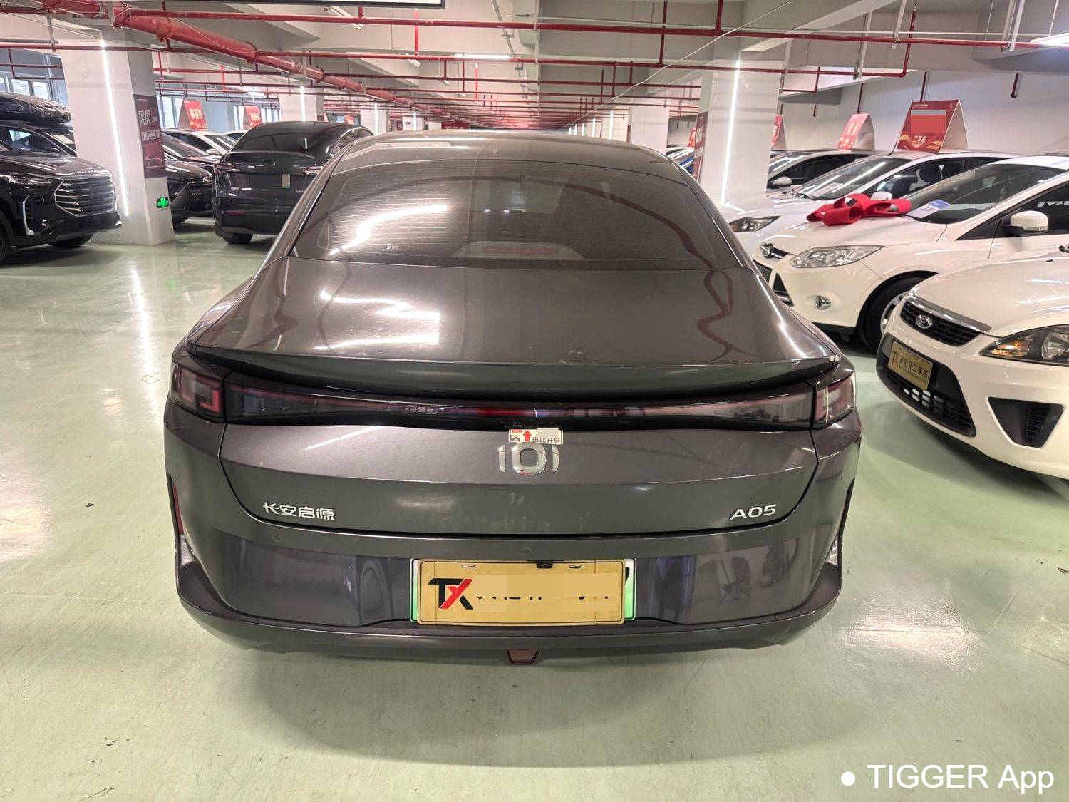 Qiyuan 2025 A05 True Fragrance Edition 70 Beyond