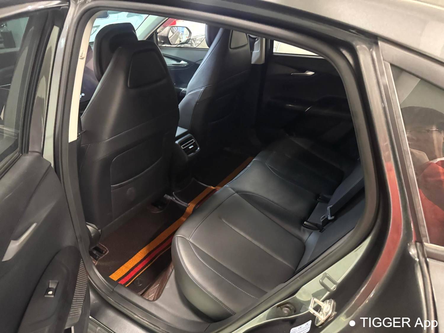 Qiyuan 2025 A05 True Fragrance Edition 70 Beyond