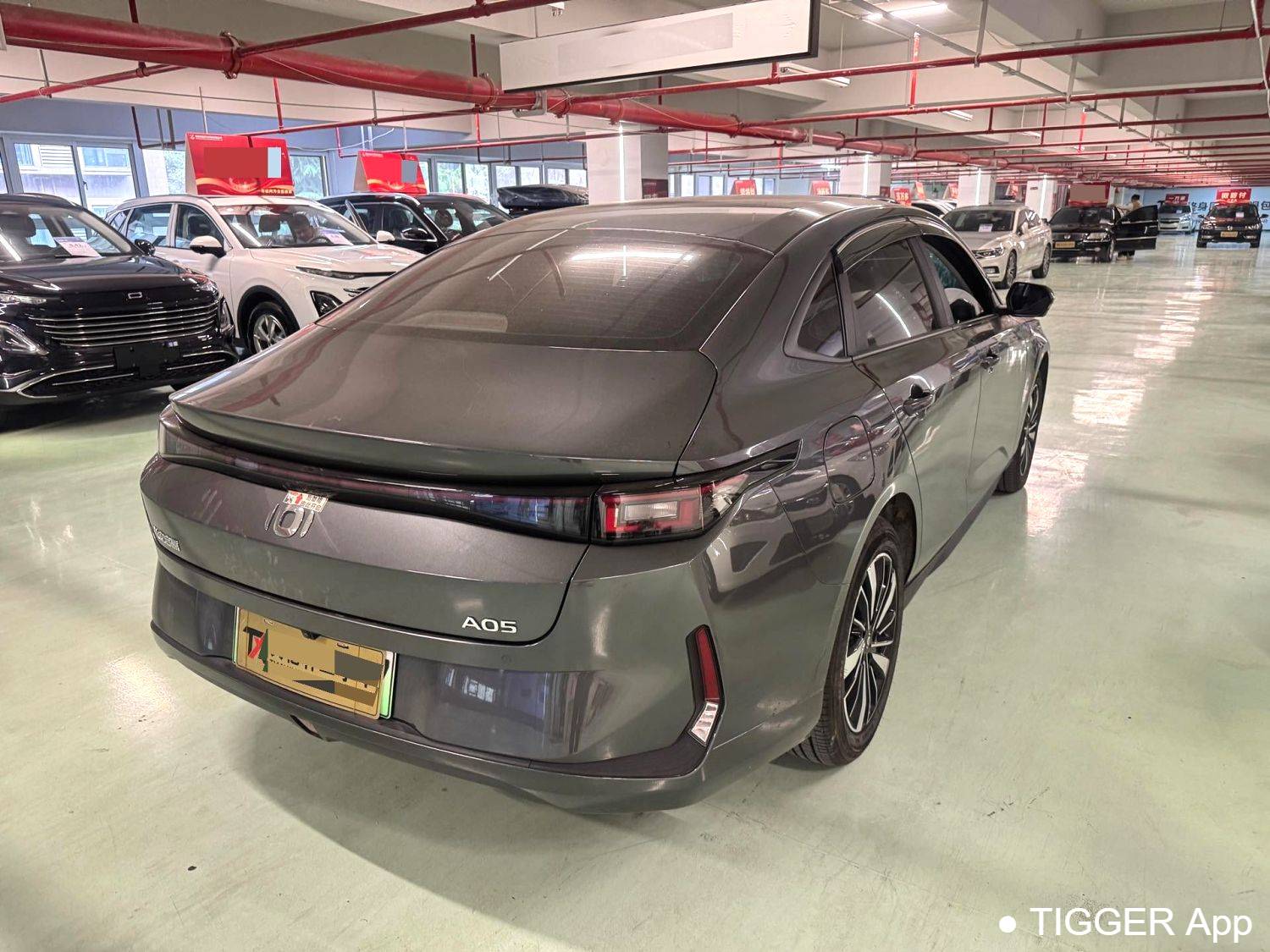 Qiyuan 2025 A05 True Fragrance Edition 70 Beyond