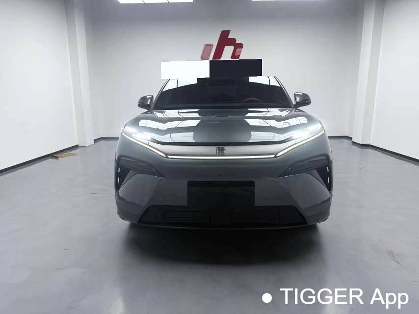 BYD 2025 BYD Tang L DM 215KM laser radar flagship model