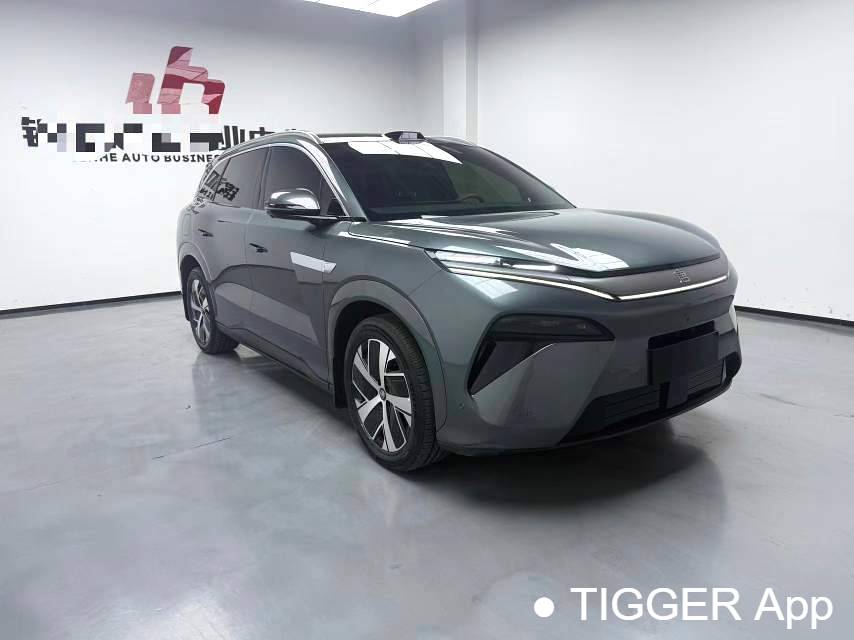 BYD 2025 BYD Tang L DM 215KM laser radar flagship model