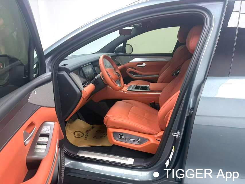 BYD 2025 BYD Tang L DM 215KM laser radar flagship model