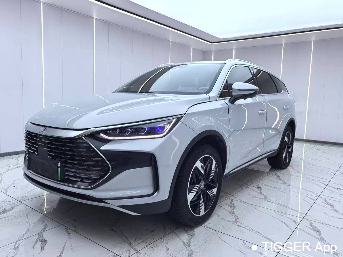 BYD 2024 BYD Tang New Energy DM-i Honor Edition 112KM Prestige Edition