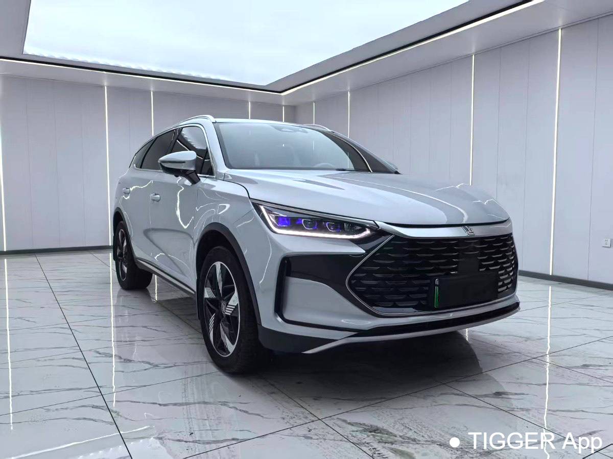 BYD 2024 BYD Tang New Energy DM-i Honor Edition 112KM Prestige Edition