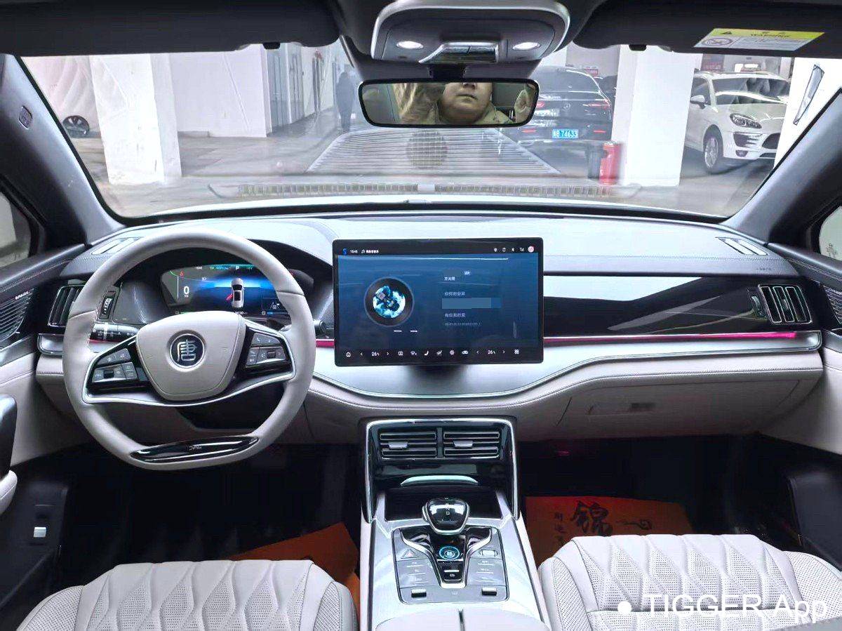 BYD 2024 BYD Tang New Energy DM-i Honor Edition 112KM Prestige Edition