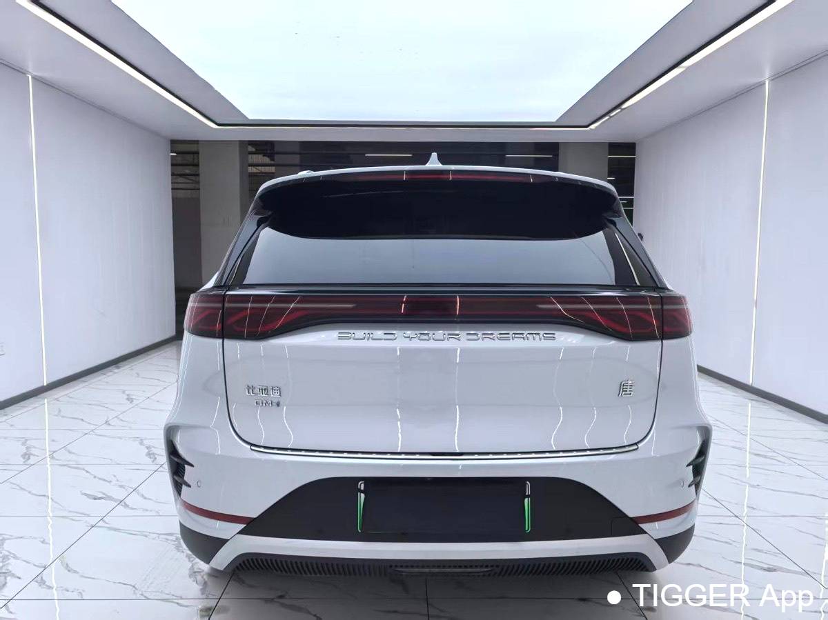 BYD 2024 BYD Tang New Energy DM-i Honor Edition 112KM Prestige Edition