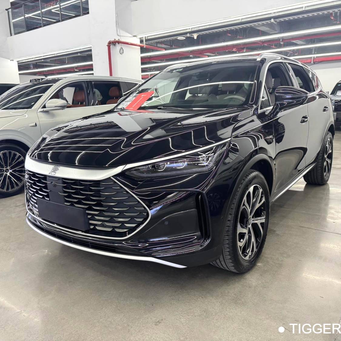 BYD 2025 BYD Tang New Energy Intelligent driving version DM-i 115KM flagship model Used Car