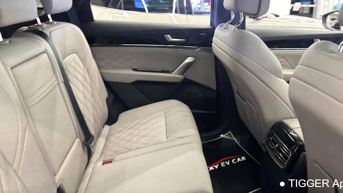 BYD 2025 BYD Tang New Energy Intelligent driving version DM-i 115KM flagship model