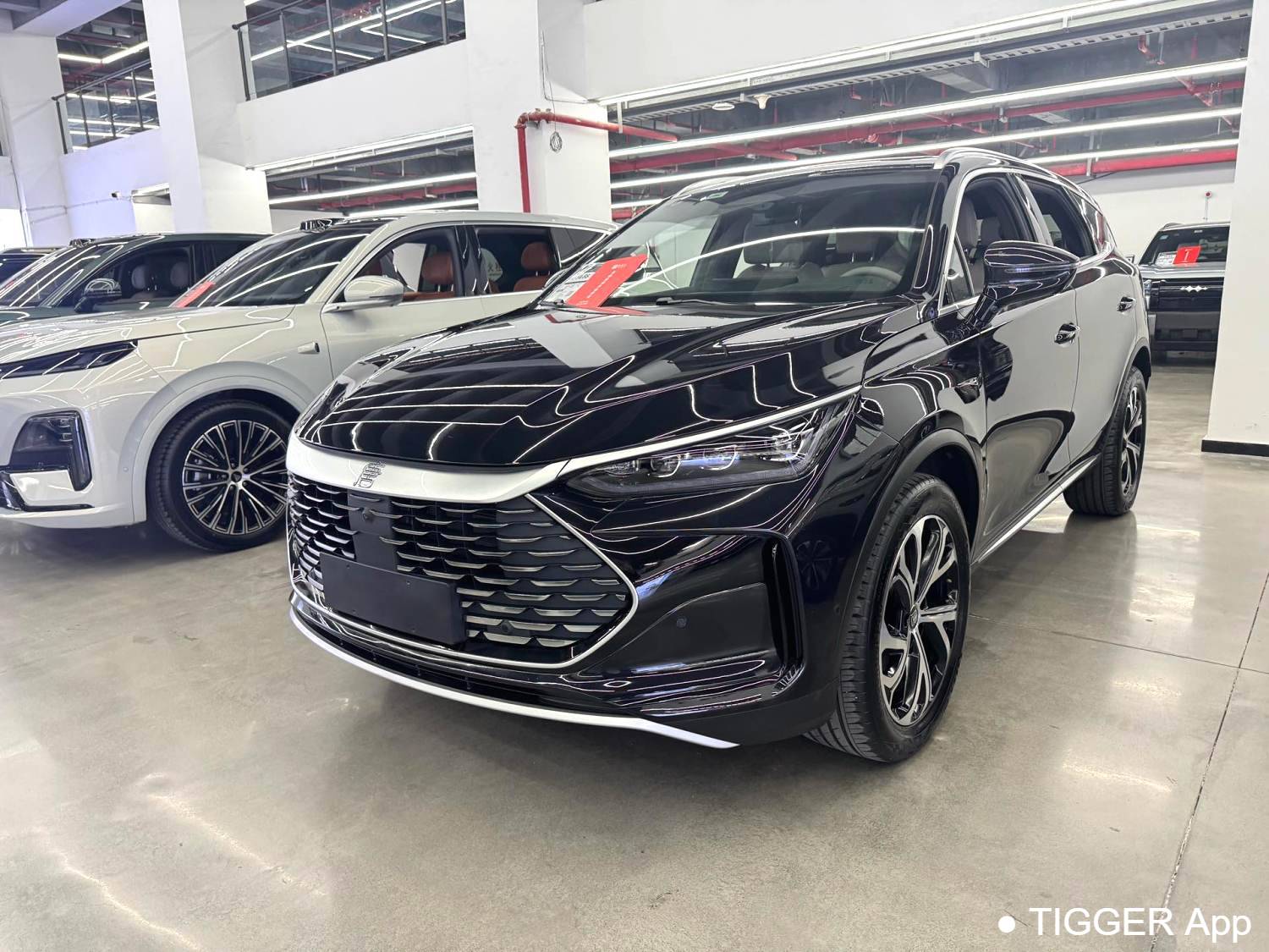 BYD 2025 BYD Tang New Energy Intelligent driving version DM-i 115KM flagship model