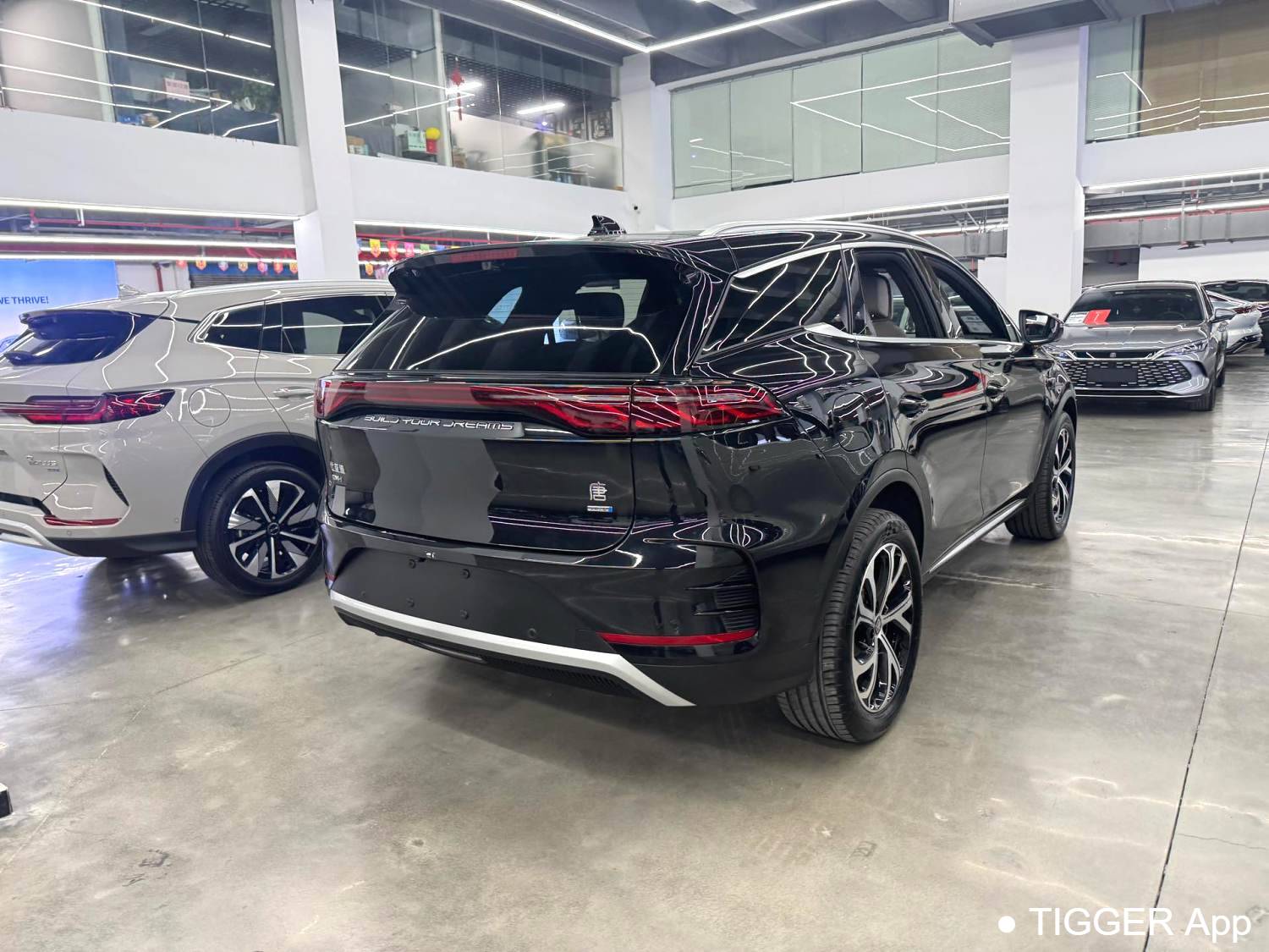 BYD 2025 BYD Tang New Energy Intelligent driving version DM-i 115KM flagship model