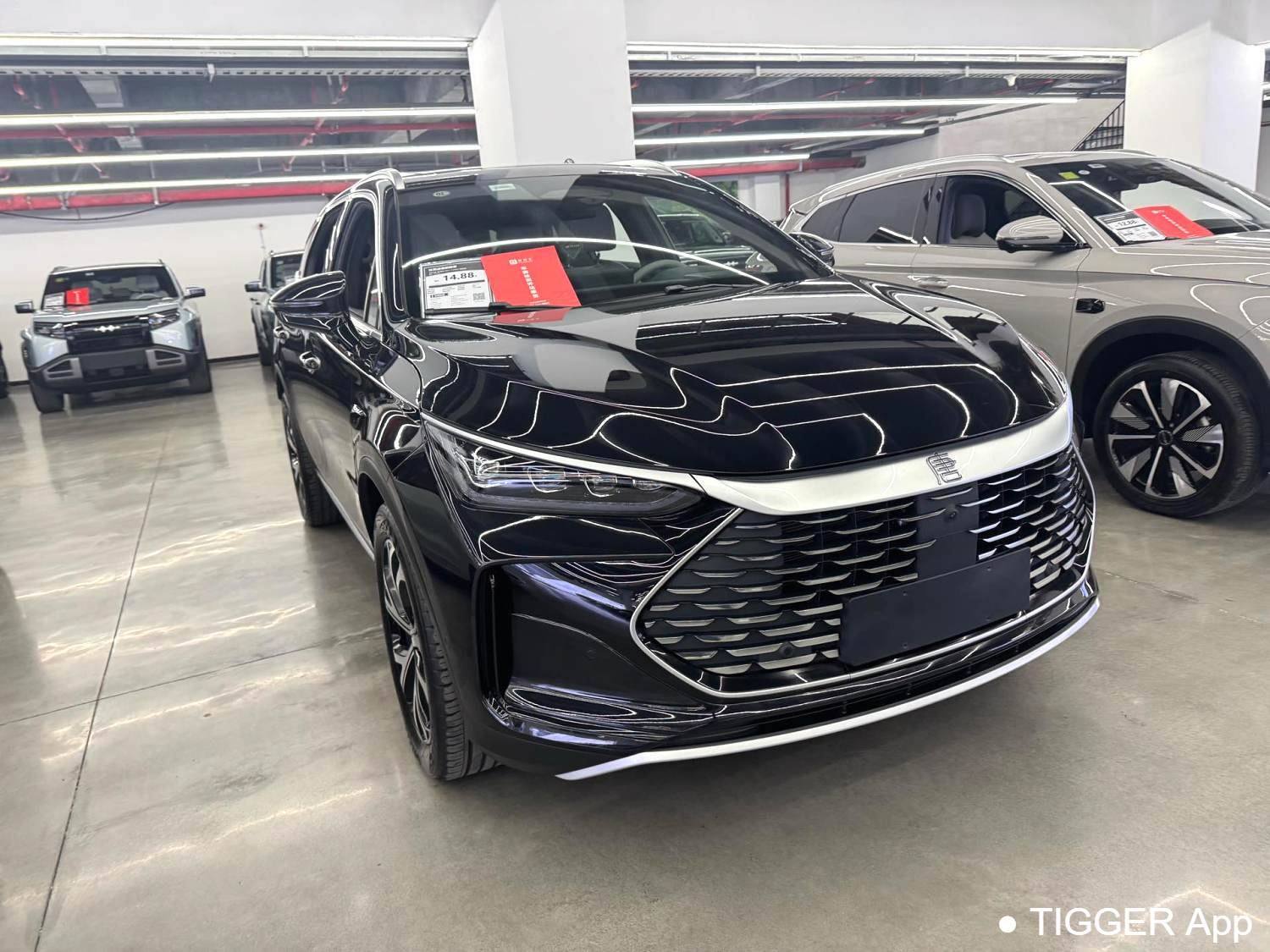 BYD 2025 BYD Tang New Energy Intelligent driving version DM-i 115KM flagship model