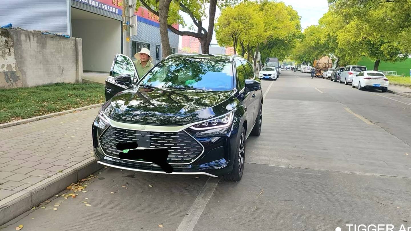 BYD 2025 BYD Tang New Energy DM-i 115KM Prestige Model