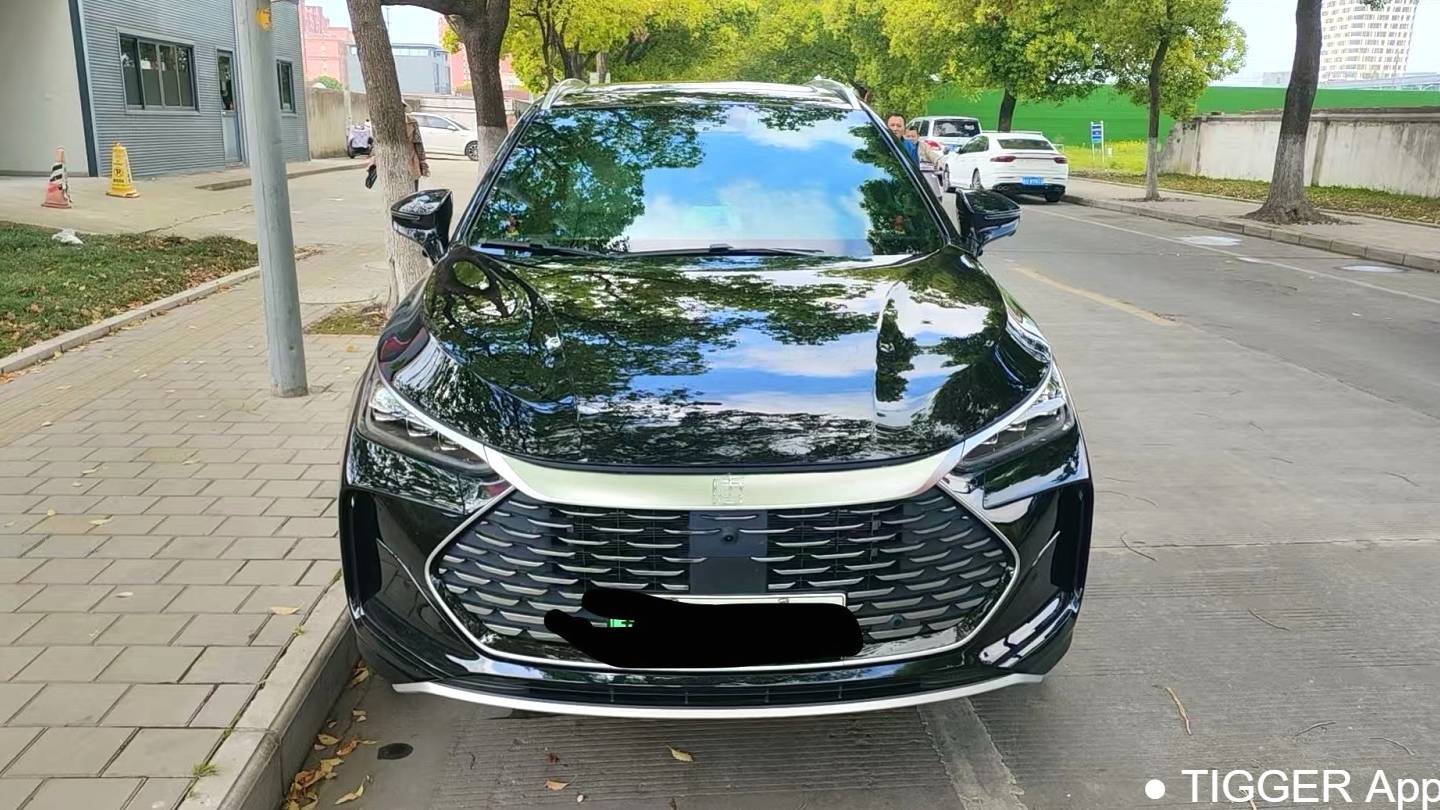 BYD 2025 BYD Tang New Energy DM-i 115KM Prestige Model