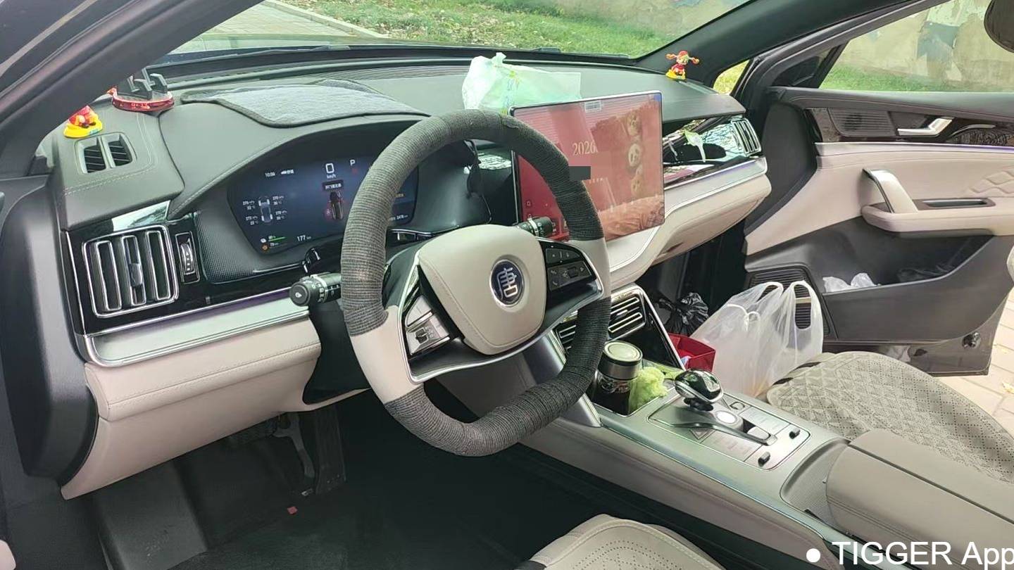 BYD 2025 BYD Tang New Energy DM-i 115KM Prestige Model