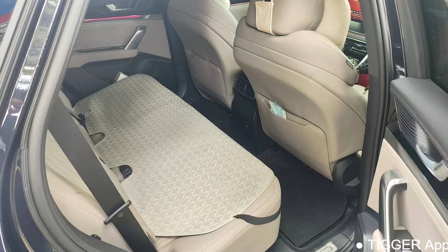 BYD 2025 BYD Tang New Energy DM-i 115KM Prestige Model