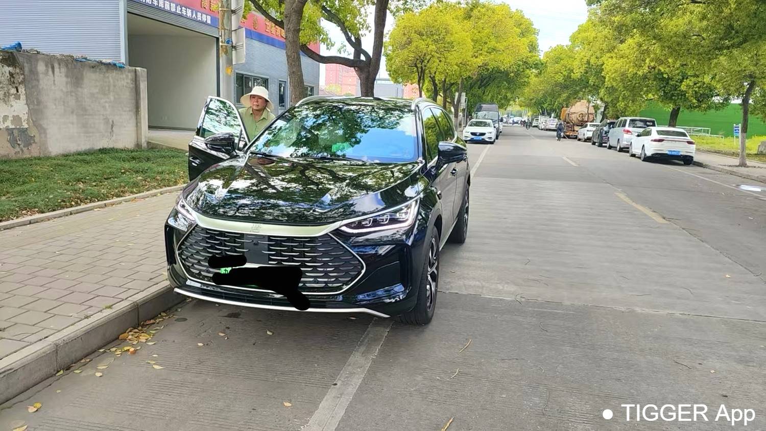 BYD 2025 BYD Tang New Energy DM-i 115KM Prestige Model