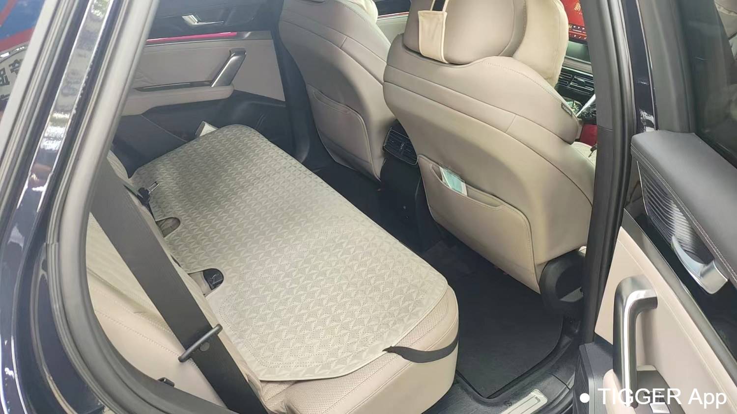 BYD 2025 BYD Tang New Energy DM-i 115KM Prestige Model