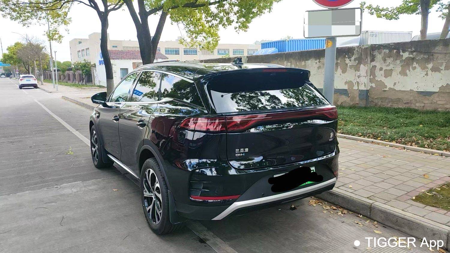 BYD 2025 BYD Tang New Energy DM-i 115KM Prestige Model