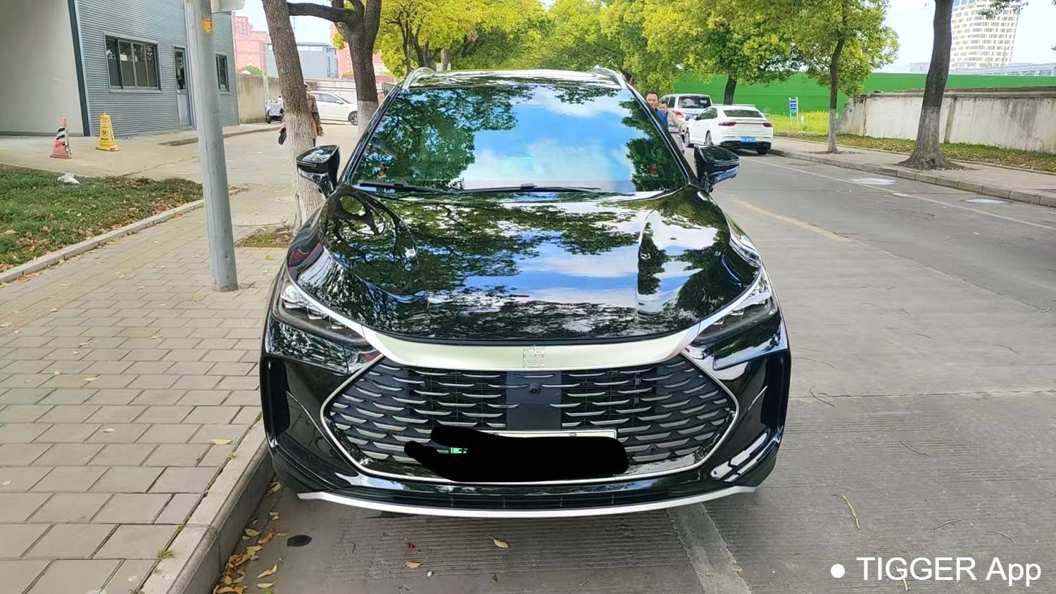 BYD 2025 BYD Tang New Energy DM-i 115KM Prestige Model