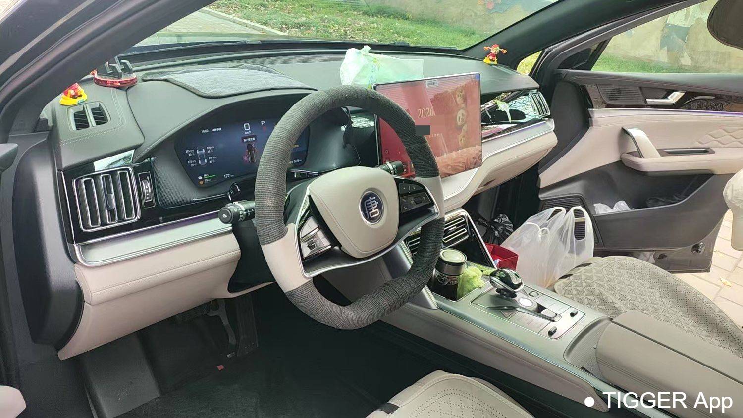 BYD 2025 BYD Tang New Energy DM-i 115KM Prestige Model