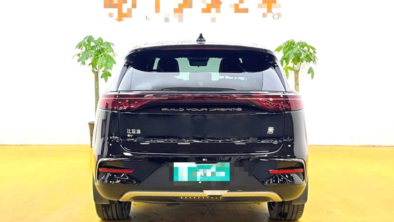 BYD 2024 BYD Tang New Energy EV Honor Edition 600KM Premium Edition