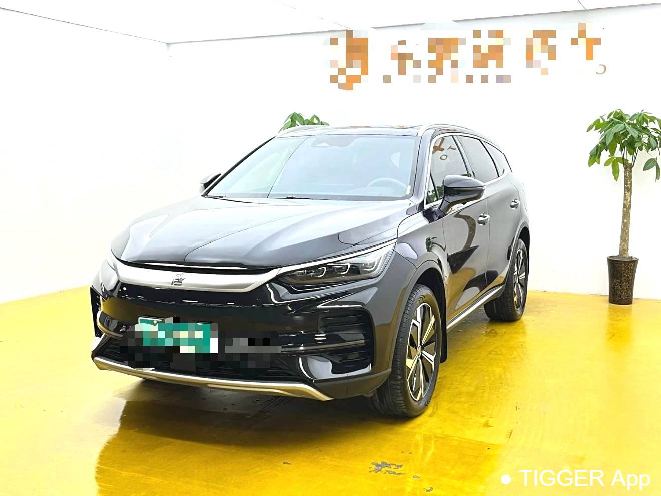 BYD 2024 BYD Tang New Energy EV Honor Edition 600KM Premium Edition