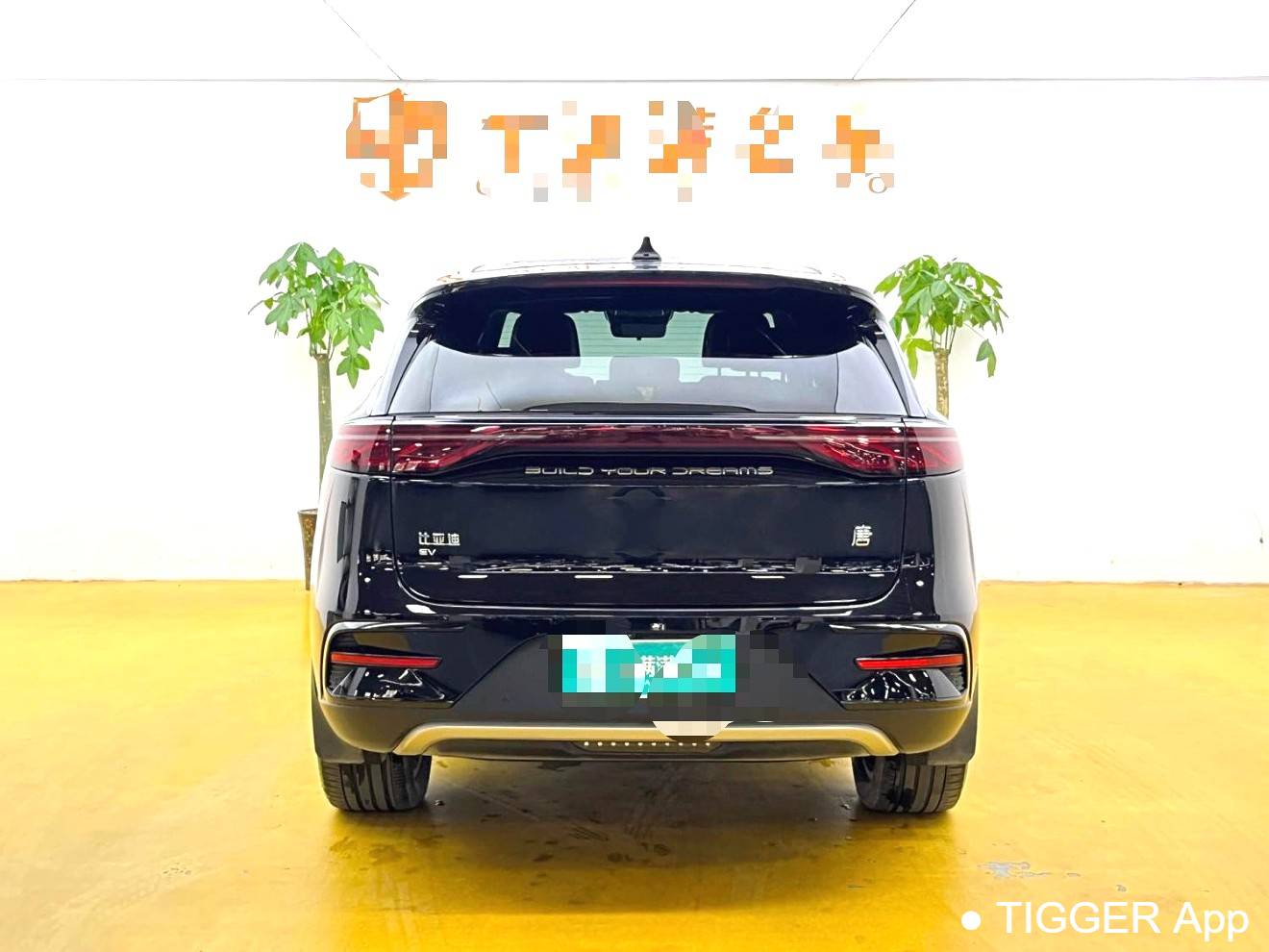 BYD 2024 BYD Tang New Energy EV Honor Edition 600KM Premium Edition