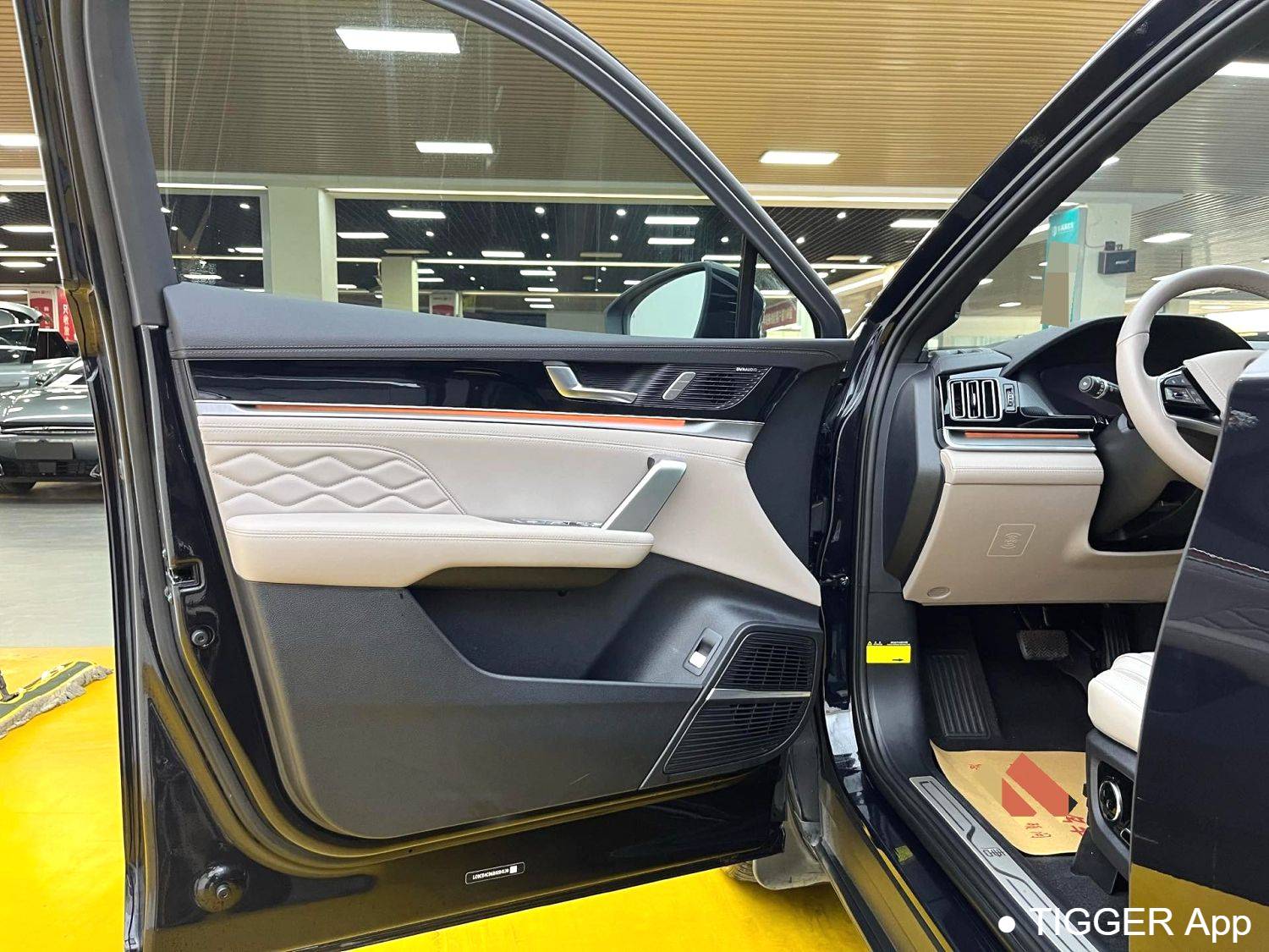 BYD 2024 BYD Tang New Energy EV Honor Edition 600KM Premium Edition