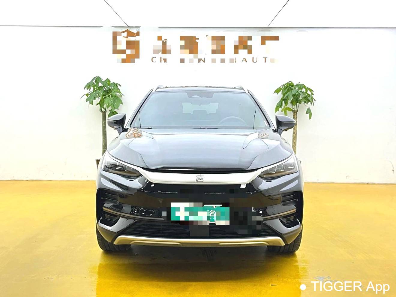 BYD 2024 BYD Tang New Energy EV Honor Edition 600KM Premium Edition