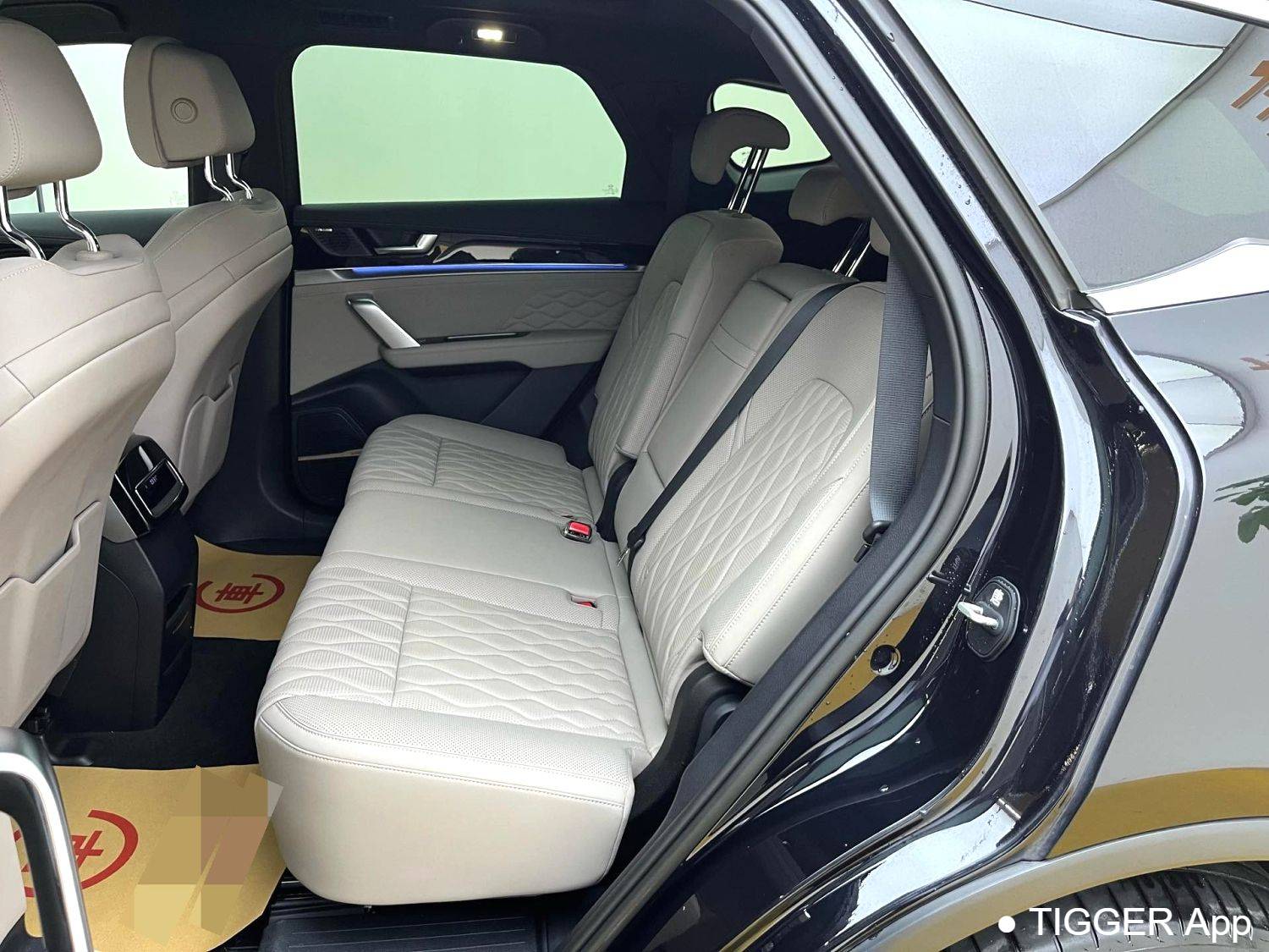 BYD 2024 BYD Tang New Energy EV Honor Edition 600KM Premium Edition