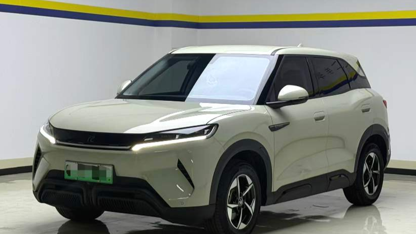 BYD 2024 YUAN UP 301KM Leading Type