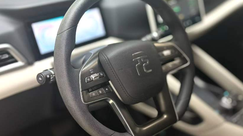 BYD 2024 YUAN UP 301KM Leading Type